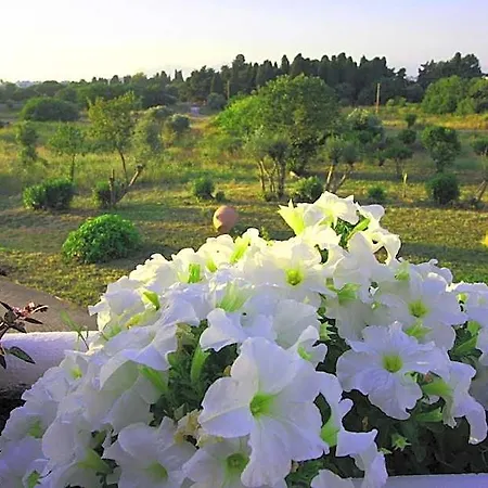 Hotel Eftihia Cos